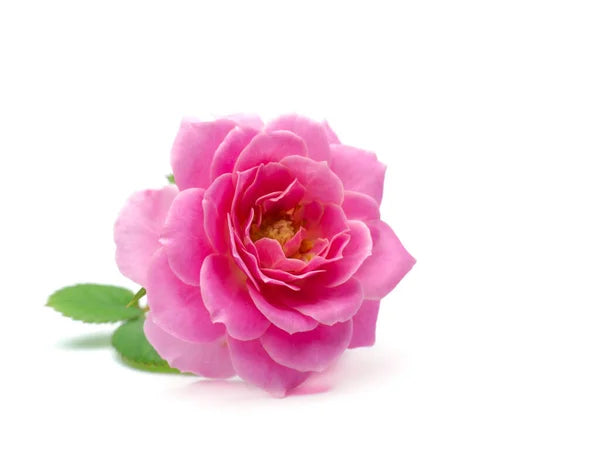 Esfoliante de Rosas